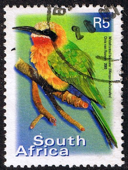 Stamps Stamp South Africa 2000 Birds R5 Fine Used Sg 1227 Scott 1195