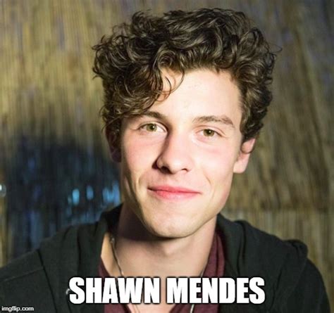 Image Tagged In Celebrityshawn Mendes Imgflip