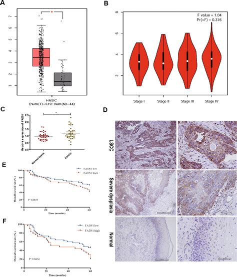 Brothers josh and ben, looking forward to their bright futures, throw a party in their family's survival bunker for their classmates. FADS1 is upregulated in LSCC tissues and predicts poor ...