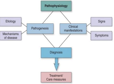 Pathophysiology Concept Map Nursing Students Concept Map Medical