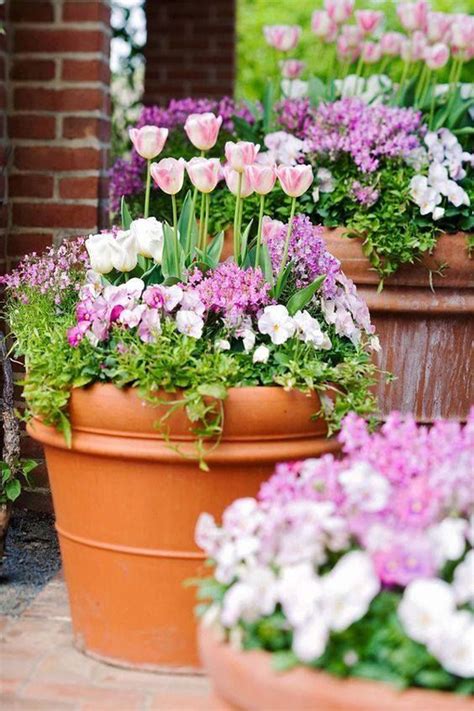 45 Container Gardens For Spring Season