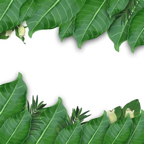 We did not find results for: Aesthetic Transparent Background Green Leaves Png ...