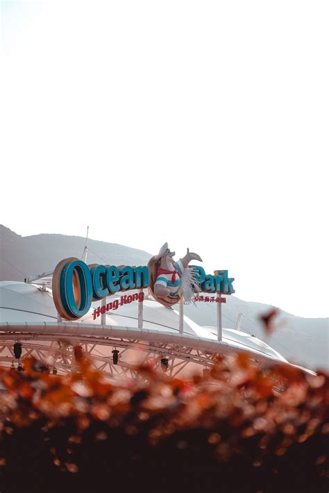 Ocean Park - The Arca