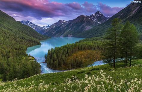 Góry Jezioro Lake Kucherla Republika Ałtaju Rosja Lasy Drzewa