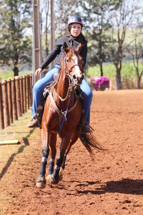 Barbara Montibeller Pereira Instagram