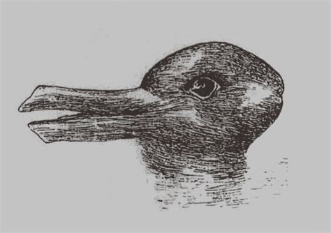 Duck Rabbit Illusion From Jastrow J The Minds Eye Popular Science