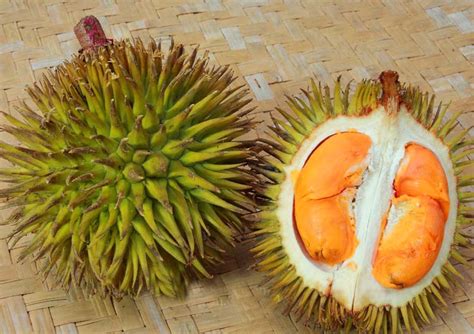 Well, is rm1 (s$0.33) cheap enough for you? Under The Angsana Tree: Wild Durians From East Malaysia ...