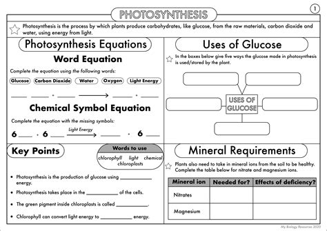 Gcse Biology Complete Worksheet Pack On The Plant Nutrition Photosynthesis Topic Teaching