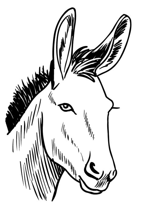 Drawing Of Donkeys Coloring Page