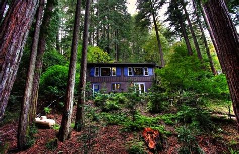Find unique places to stay with local hosts in vacation rentals in redwood city. VRBO.com #458058 - Romantic Comfort in a Redwood Forest ...