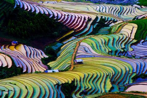 Terraced Rice Fields In Mu Cang Chai Vietnam Insight Guides Blog