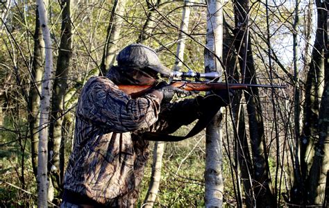 Best Hunting Rifles Reviewed And Rated In Thegearhunt