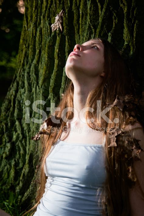 Girl Leaning Against A Tree Trunk Stock Photo Royalty Free Freeimages
