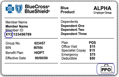 It covers your most basic health care needs. Identifying Bluecard Members