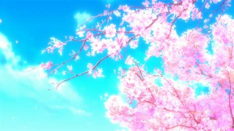 Pin By 🌠jinx🌠 On Wallpaper Cherry Blossom Wallpaper Anime Cherry