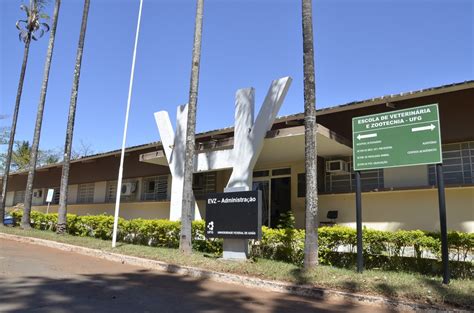 jornal somos em ranking acadêmico ufg fica entre as 11 melhores universidades brasileiras