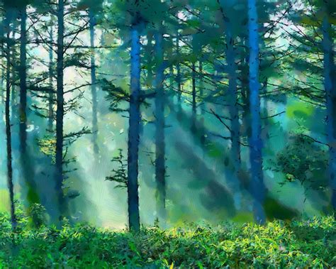 Forest Piantings Painting Misty Landscapes And Beams Of Light In