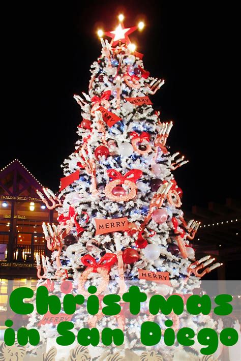 San diego bed and breakfast. 5 Festive Christmas Things to Do in San Diego | Travel the ...