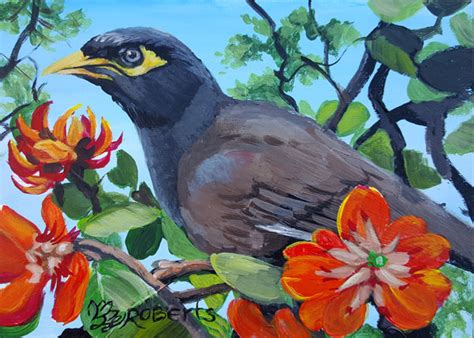 30 In 30 Mynah Bird In A Coral Tree Wendy Roberts Fine Art