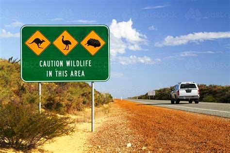 Image Of Wildlife Warning Signs Along A Highway Austockphoto