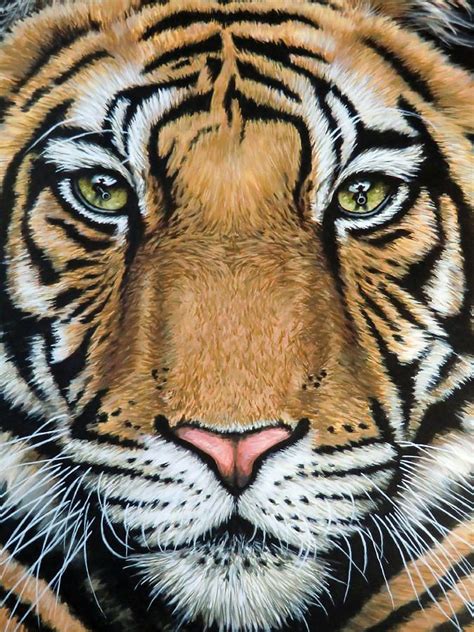 Tigers Last Roar By Nicole Zeug Realistic Animal Drawings Animal