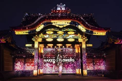 Naked Flowers Sakura World Heritage Nijo Castle Admission Ticket Kkday