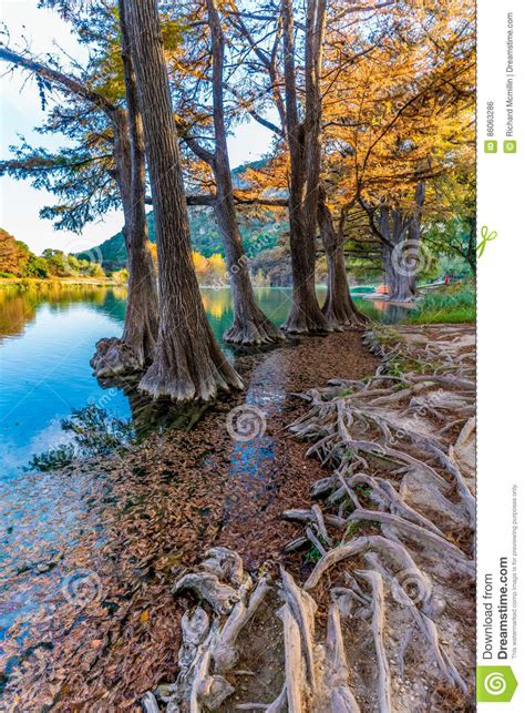 Fall Foliage On The Crystal Clear Frio River In Texas Stock Photo