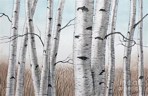 Birch Trees In Early Winter In Watercolor Painting By Christopher