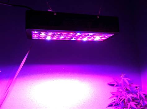 Despite the amazing parameters of this product, it's common for the grow light strips to have lower quality, so they may end up flickering. Extreme High Output LED Grow Lights : LED Grow Light ...