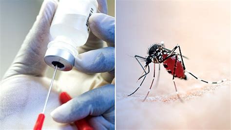 A Malaria Vaccine Progress And Challenges