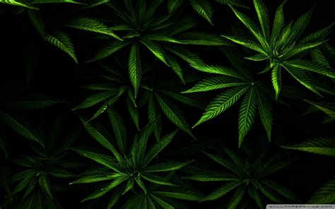 Maybe you would like to learn more about one of these? Trippy Weed Tumblr Wallpapers - Wallpaper Cave