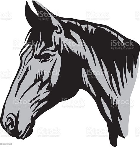 Horse Head Stock Illustration Download Image Now Istock