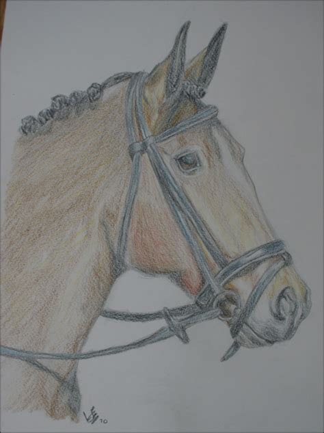 Maar hoe teken je nou makkelijk zelf even. paarden tekeningen - Google zoeken | paarden tekeningen ...