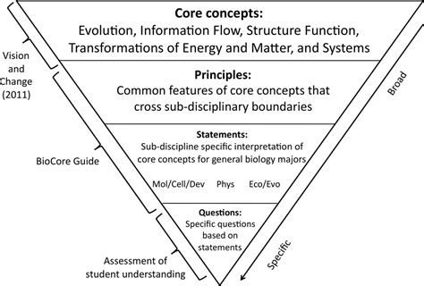 Biocore Guide A Tool For Interpreting The Core Concepts Of Vision And