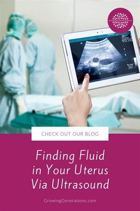 Finding Fluid In Your Uterus Via Ultrasound Artofit