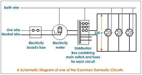 Draw A Schematic Labelled Diagram Of Domestic Electric Circuit Wiring