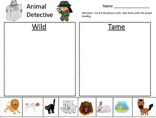 School Happenings: Wild Animals vs. Tame Animals | Tame animals, Animals wild, Kindergarten ...