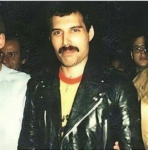 Freddie Freddie Mercury Queen Forever Magnificent Darling