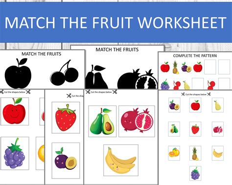 Match The Fruit Worksheet Fruit Matching Game Toddler Fruit Etsy