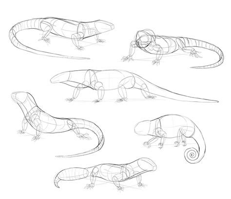 Sketchbook Original How To Draw Lizards Monika Zagrobelna