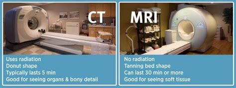 What Is The Difference Between Mri And Cat Scan Pets