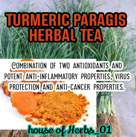 Turmeric Paragis Herbal Tea Lazada Ph
