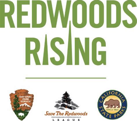 Save The Redwoods League Redwoods Rising Implementation Fellow Save