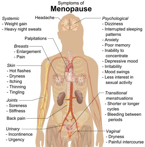 Menopause Relief In To Days Naturally My Interview With