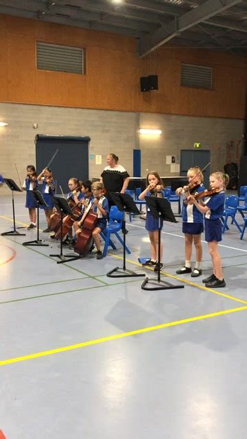 Year 4 Strings By Fitzgerald State School