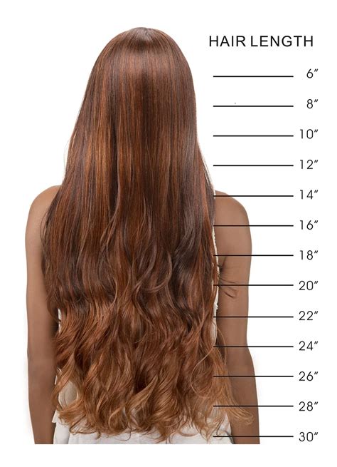 Natural Hair Extensions Hair Length Chart Hair Lengths And Types
