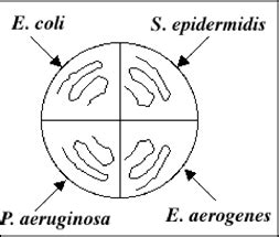 That code does show all the quadrants. The Virtual Edge