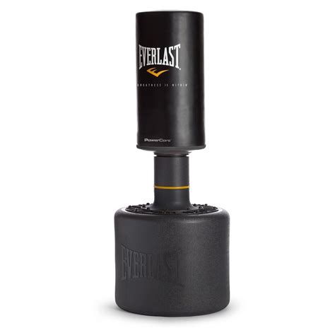 Everlast Punching Bag Stand Literacy Ontario Central South