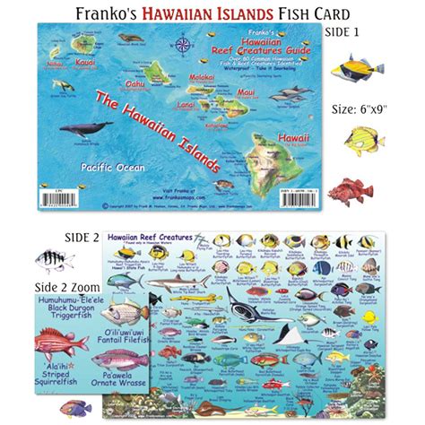 Franko Maps Hawaiian Islands Reef Creature Guide 6 X 9 Inch Hawaiian