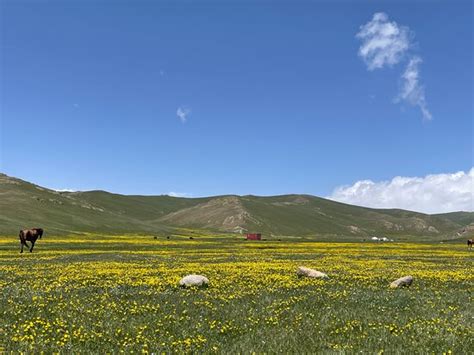 Kyrgyz Wonders Travel Kochkor Tripadvisor